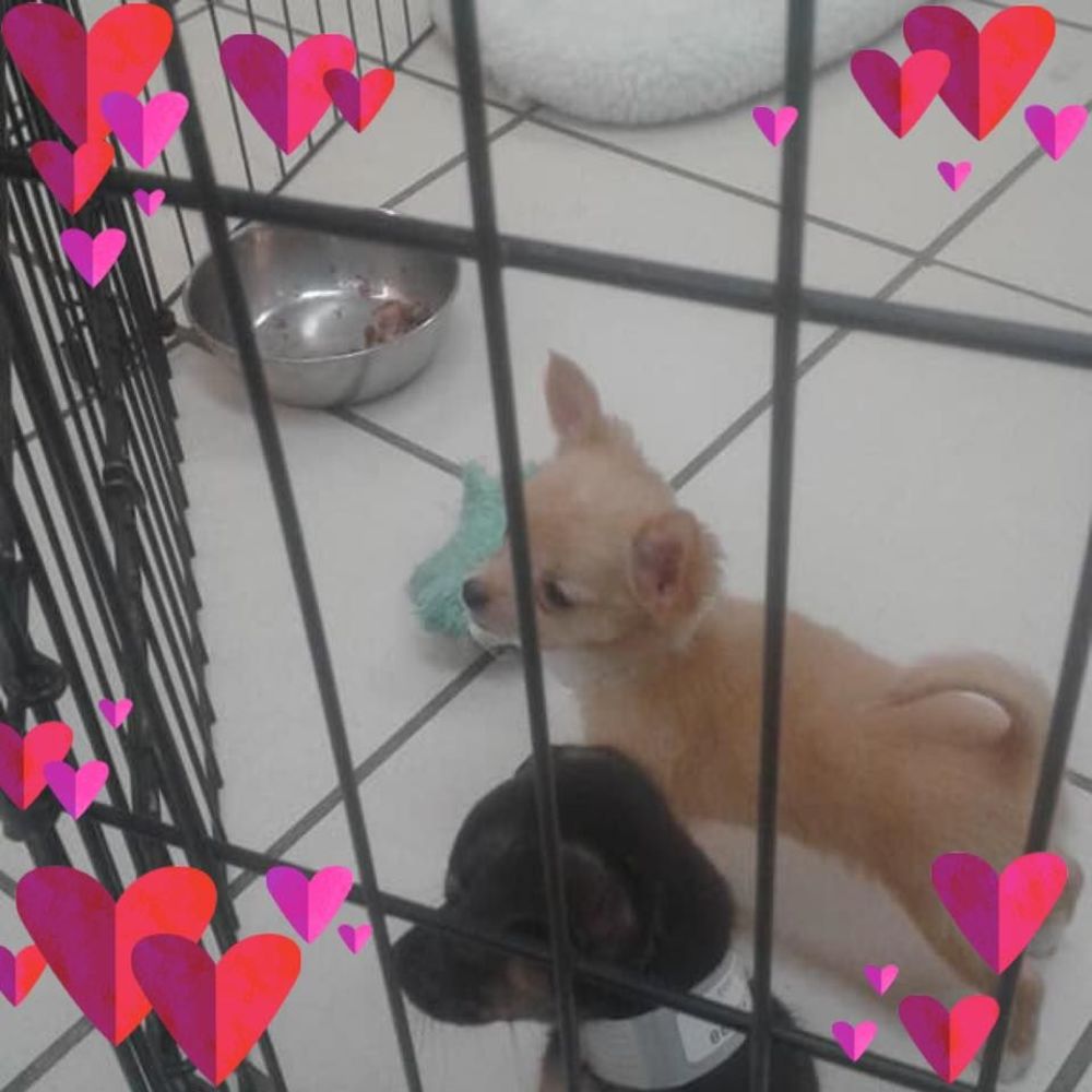 Meet your Posher, Kristina